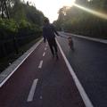 故事还长640头像