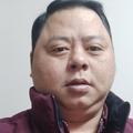 刘一一龙头像