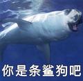 AT残瞳头像