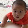 春天来了70313头像