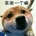 钱沐225头像