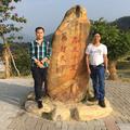 千姿百态华康街44号头像