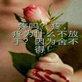 愛妳輩孓丶83024604头像