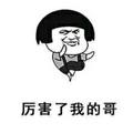 厉害了我的猫头像