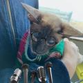耿耿说事儿 · 领克02 Hatchback车主·车龄3年头像