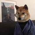 绵洋先生头像