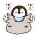 三蛋日常头像